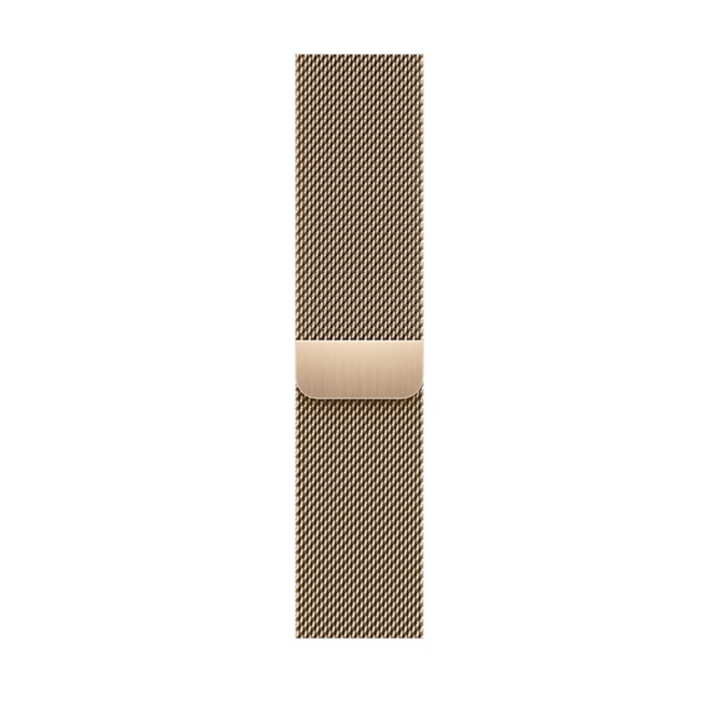 apple-watch-steel-gold-3.jpg