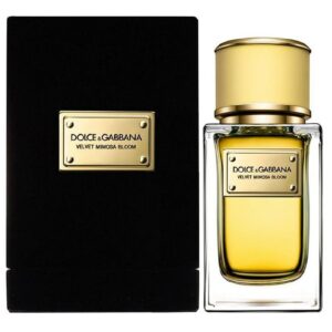 Dolce-Gabbana-Velvet-Mimosa-Bloom-Women-Eau-de-Parfum-150-ml-in-uae Dolce-Gabbana-Velvet-Mimosa-Bloom-Women-Eau-de-Parfum-150-ml-in-uae