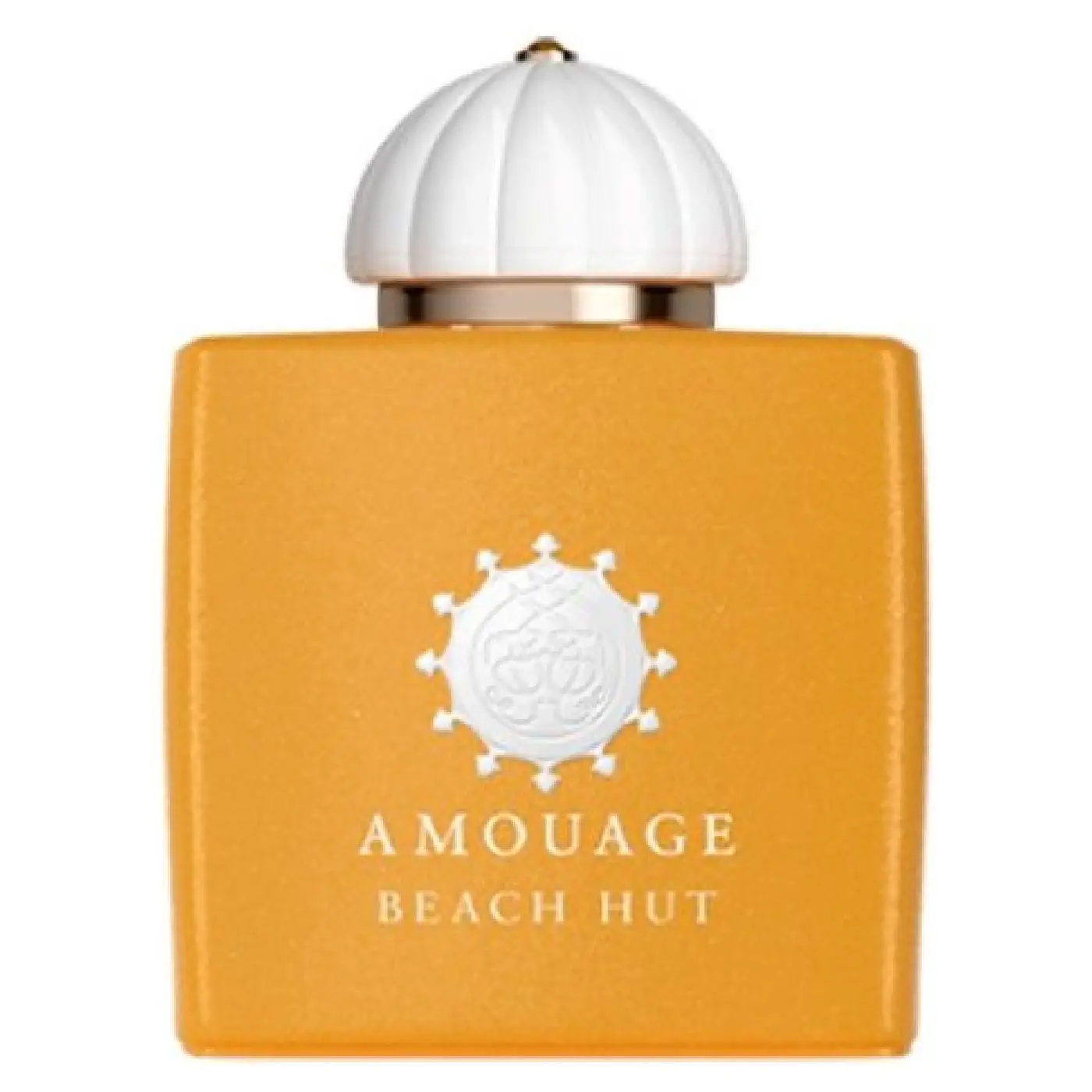 AMOUAGE BEACH HUT (W) EDP 100ML (1) AMOUAGE-BEACH-HUT-W-EDP-100ML