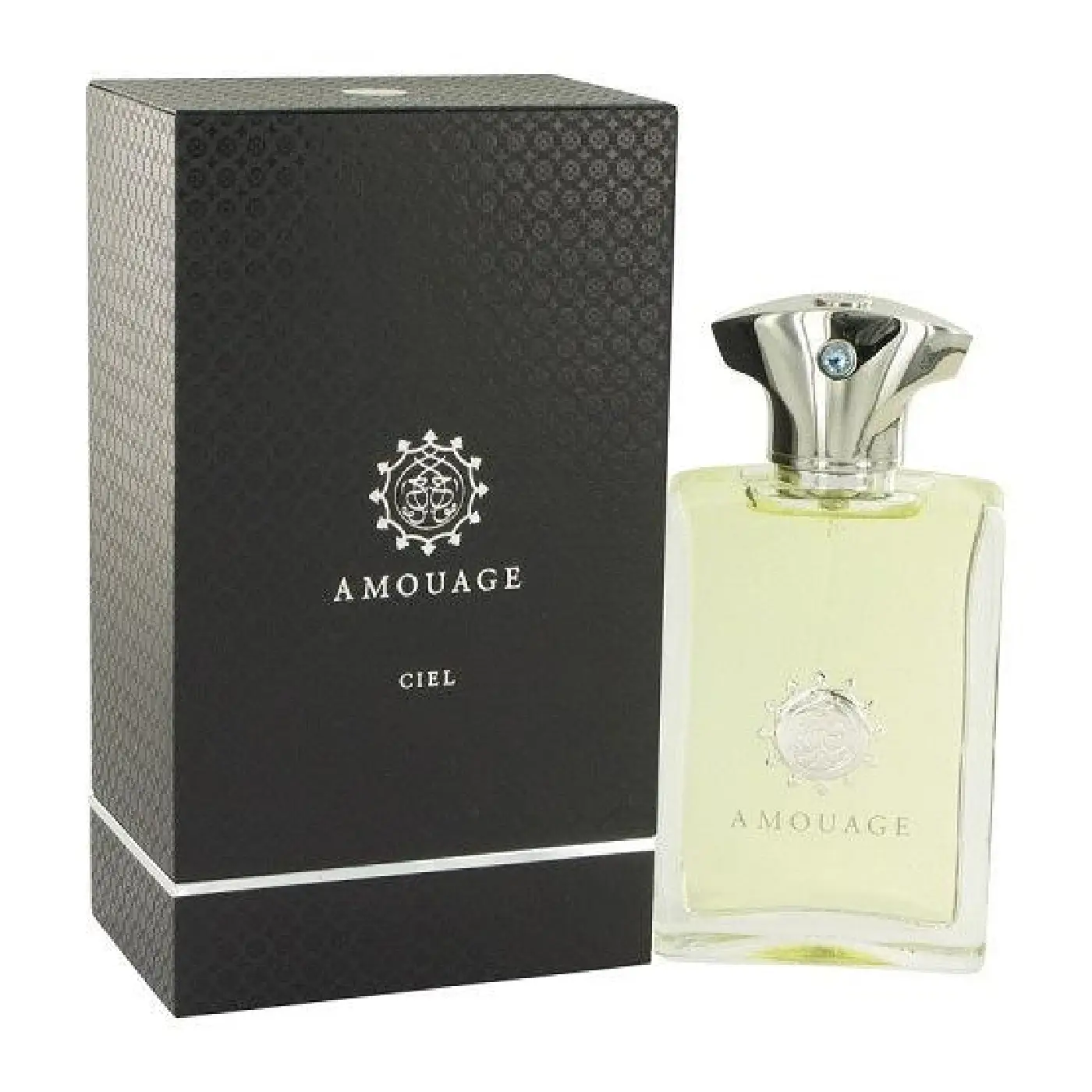 AMOUAGE-CIEL-M-EDP-100ML-