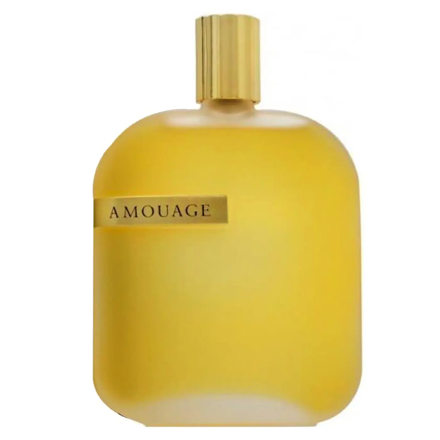 AMOUAGE-LIBRARY-COLLECTION-OPUS-I-UNISEX-EDP-100ml.