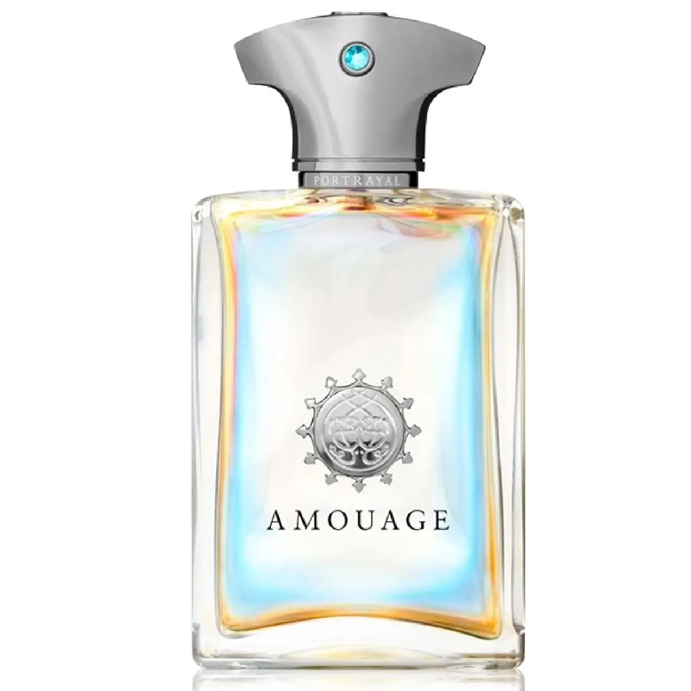 AMOUAGE-PORTRAYAL-M-EDP-100ml