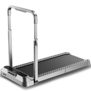 2024.2購入　KingSmith WalkingPad R2 Amazon.com : WalkingPad R2 Treadmill Running and Walking