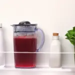 Sage-the-nutri-juicer-cold-XL-steel-2