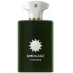 AMOUAGE PURPOSE EDP 100ML (1)