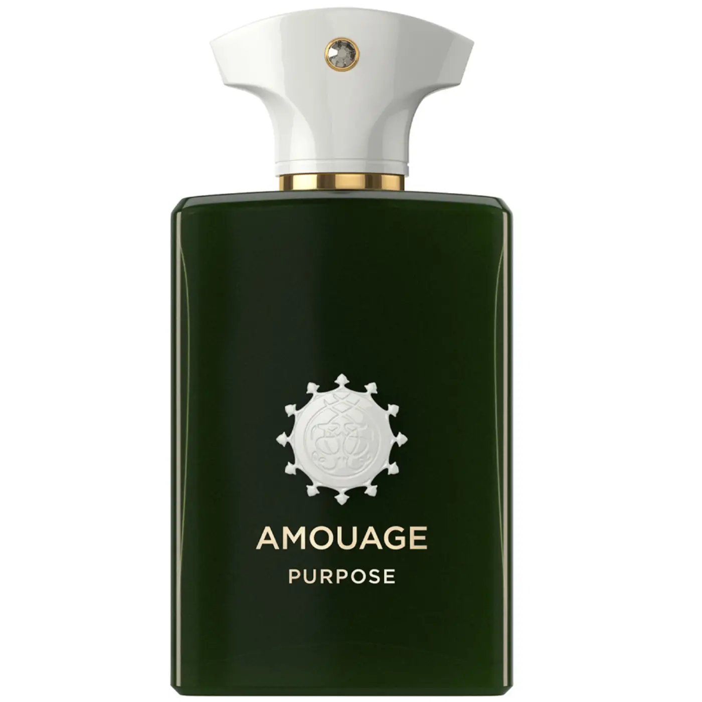 AMOUAGE PURPOSE EDP 100ML (1)