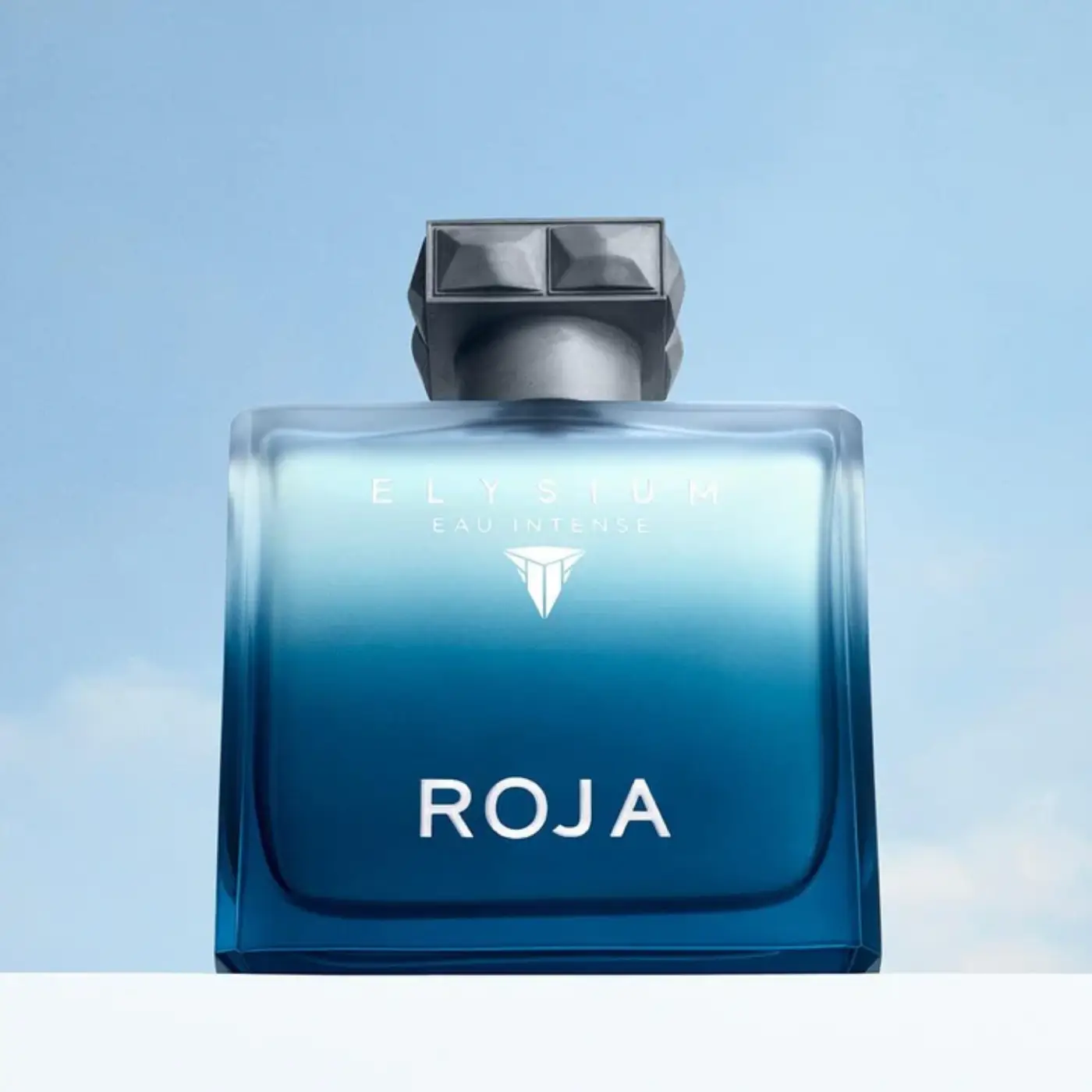 ROJA ELYSIUM EAU INTENSE EDP 100ML (3)